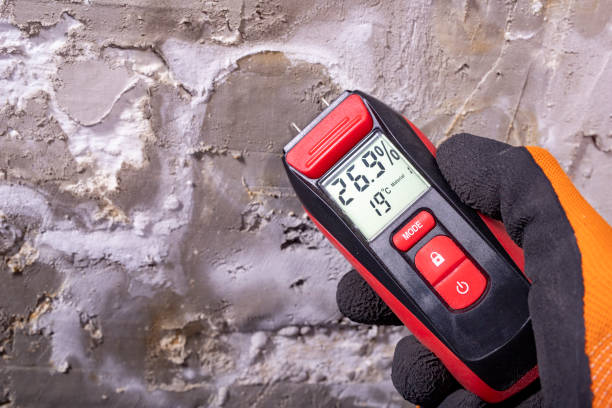 Best Commercial Mold Removal  in San Bernardino, CA