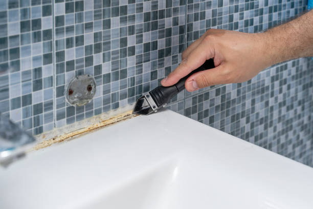 Best Professional Mold Removal  in San Bernardino, CA