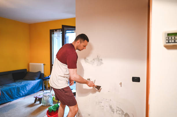 Best Same-Day Mold Removal  in San Bernardino, CA